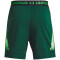UNDER ARMOUR Vanish Woven 6" Graphic Shorts Herren