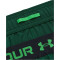 UNDER ARMOUR Vanish Woven 6" Graphic Shorts Herren