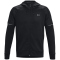 UNDER ARMOUR Fleece Storm Kapuzenjacke Herren