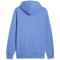 PUMA BMW M Motorsport Essentials Fleece Hoodie Herren