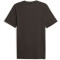 PUMA BMW M Motorsport Car Graphic T-Shirt Herren