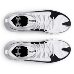 UNDER ARMOUR Flow FUTR X 3 Basketballschuhe 100 - white/white/black 39