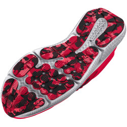 UNDER ARMOUR Charged Assert 10 Laufschuhe Herren 600 - red/red/black 44