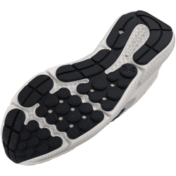 UNDER ARMOUR Assert 10 Laufschuhe Herren 104 -...