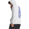 UNDER ARMOUR Fleece Graphic Hoodie Herren 014 - halo gray/team royal XL