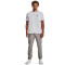 UNDER ARMOUR Stretch Woven Printed Trainingshose Herren 294 - pewter/black M