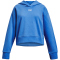 UNDER ARMOUR Rival Fleece Crop Hoodie M&auml;dchen 464 - water/white M (137-149 cm)