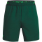 UNDER ARMOUR Vanish Woven 6" Graphic Shorts Herren 322 - greenwood/green screen S