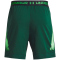 UNDER ARMOUR Vanish Woven 6" Graphic Shorts Herren 322 - greenwood/green screen S