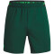 UNDER ARMOUR Vanish Woven 6" Graphic Shorts Herren 322 - greenwood/green screen XXL