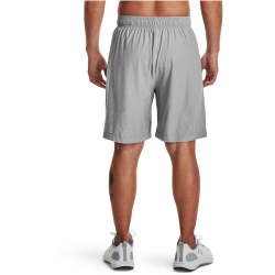 UNDER ARMOUR Tech Vent Shorts Herren 011 - mod gray/black S