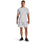 UNDER ARMOUR PEAK Woven Shorts Herren 014 - halo gray/black XL
