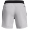 UNDER ARMOUR PEAK Woven Shorts Herren 014 - halo gray/black XL