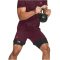 UNDER ARMOUR Vanish 6" Trainingsshorts Herren 600 - dark maroon/beta M