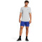 UNDER ARMOUR Vanish 6" Trainingsshorts Herren 400 - team royal/white L