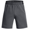 UNDER ARMOUR Vanish 6" Trainingsshorts Herren 012 - pitch gray/black XS