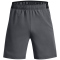 UNDER ARMOUR Vanish 6" Trainingsshorts Herren 012 - pitch gray/black XXL