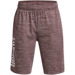 UNDER ARMOUR Prototype 2.0 Wordmark Shorts Jungen 601 -...