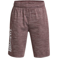 UNDER ARMOUR Prototype 2.0 Wordmark Shorts Jungen 601 -...