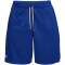 UNDER ARMOUR Tech Mesh Shorts Herren 400 - royal/steel XS