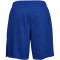 UNDER ARMOUR Tech Mesh Shorts Herren 400 - royal/steel XS