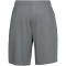 UNDER ARMOUR Tech Mesh Shorts Herren 012 - pitch gray/black S