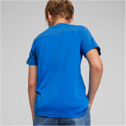 PUMA Active Sports Cat Trainingsshirt Jungen 46 - ultra...