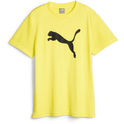 PUMA Active Sports Cat Trainingsshirt Jungen 41 - fluro...