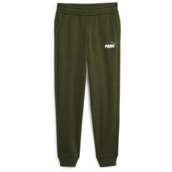 PUMA Ess+ Metallic 2 Col Logo Fleece-Jogginghose CL Jungen 30 - myrtle 152