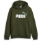 PUMA Ess+ Metallic 2 Col Big Logo Fleece-Hoodie Jungen 31 - myrtle 152