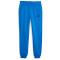 PUMA Essentials Logo Fleece-Jogginghose Jungen 47 - racing blue 110