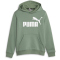 PUMA Essentials Big Logo Fleece-Hoodie Jungen 45 - eucalyptus 152