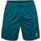 hummel hmlAUTHENTIC Polyester Shorts Herren 7058 - blue coral S