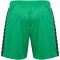 hummel Authentic Polyester Shorts Herren 6235 - jelly bean L