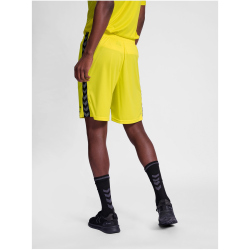 hummel Authentic Polyester Shorts Herren 5269 - blazing yellow XL