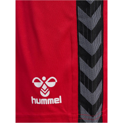 hummel Authentic Polyester Shorts Herren 3062 - true red L