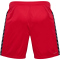 hummel Authentic Polyester Shorts Herren 3062 - true red L