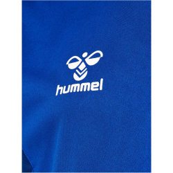 hummel hmlAUTHENTIC Polyester Trikot Kinder 7045 - true...