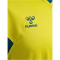 hummel Authentic Polyester Trikot Herren 6829 - sulphur spring/blue coral L