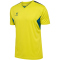 hummel Authentic Polyester Trikot Herren 6829 - sulphur spring/blue coral XL