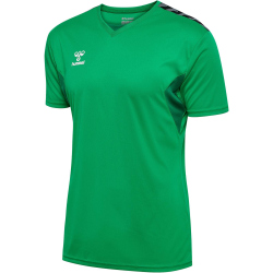 hummel Authentic Polyester Trikot Herren 6235 - jelly...