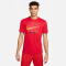 NIKE NIKE Dri-FIT Slub T-Shirt Herren