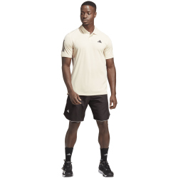 adidas Club Tennis Shorts Herren