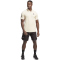 adidas Club Tennis Shorts Herren