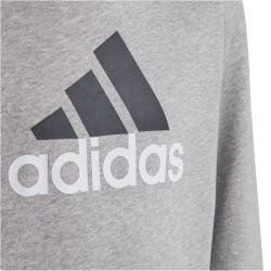 adidas Essentials Two-Colored Big Logo Cotton Hoodie Kinder