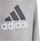 adidas Essentials Two-Colored Big Logo Cotton Hoodie Kinder