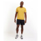 FALKE Seamless Laufshirt melange Herren