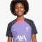 NIKE FC Liverpool Dri-FIT Strike Ausweich T-Shirt Kinder