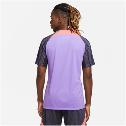 NIKE FC Liverpool Dri-FIT Strike Ausweich T-Shirt Herren