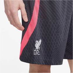 NIKE FC Liverpool Dri-FIT Strike Ausweichshorts Herren